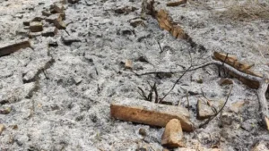 Austroflamm Fehler E114 – Mögliche Ursachen Der Störung Und Was Bei Der Fehlersuche Zu Beachten Ist