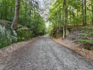 Geh-weg-Steine – Was hinter sogenannten Geh-weg-Steinen steckt und wie sie verwendet werden