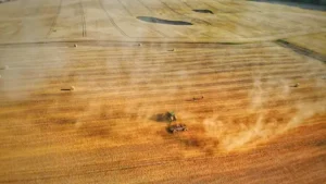 Holztisch richtig pflegen – So bleibt die Holzoberfläche sauber, geschützt und lange ansehnlich