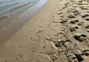Wie lange darf man saugen? Zu welchen Uhrzeiten Staubsaugen erlaubt ist und welche Ruhezeiten zu beachten sind