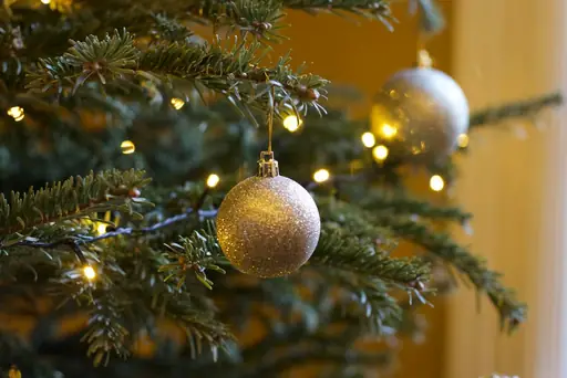 Wie lange hält ein Weihnachtsbaum ohne Wasser? Haltbarkeit und Tipps gegen frühzeitiges Austrocknen