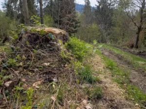 Wie Lange Trocknet Wäsche Draußen? Wovon die Trocknungszeit Abhängt und Wie Sie Sich Verkürzen Lässt