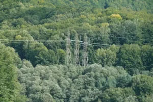 Wie viel Strom verbrauchen 4 Personen im Jahr? Durchschnittlichen Stromverbrauch eines Vier-Personen-Haushalts einschätzen und Sparpotenziale erkennen