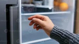Wo ist die kälteste Stelle im Kühlschrank? Temperaturzonen im Kühlschrank und richtige Lagerung von Lebensmitteln